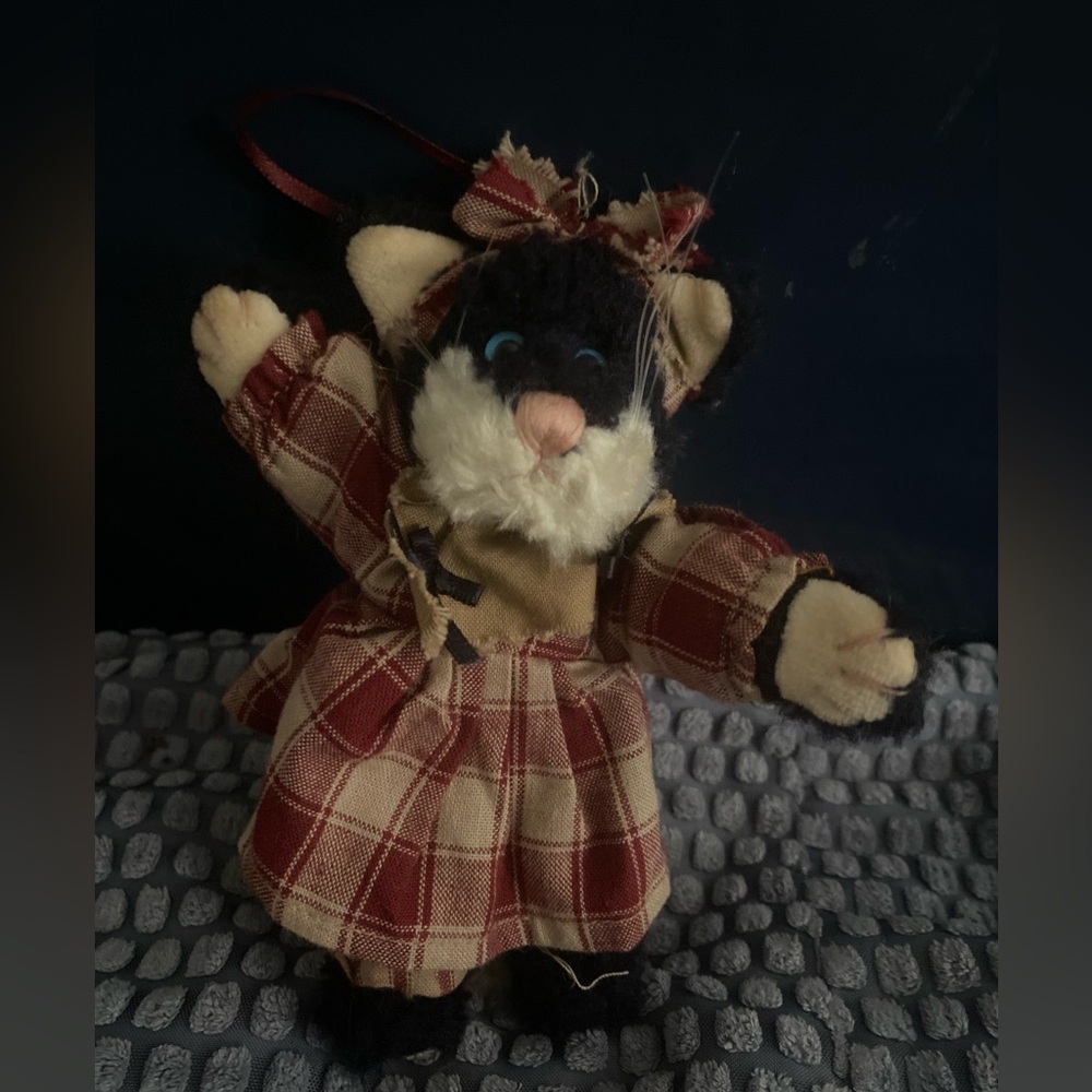 Boyd’s bear - Picture 1 of 1